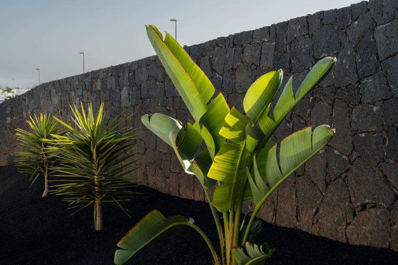 Villas Altos De Lanzarote بلايا بلانكا المظهر الخارجي الصورة